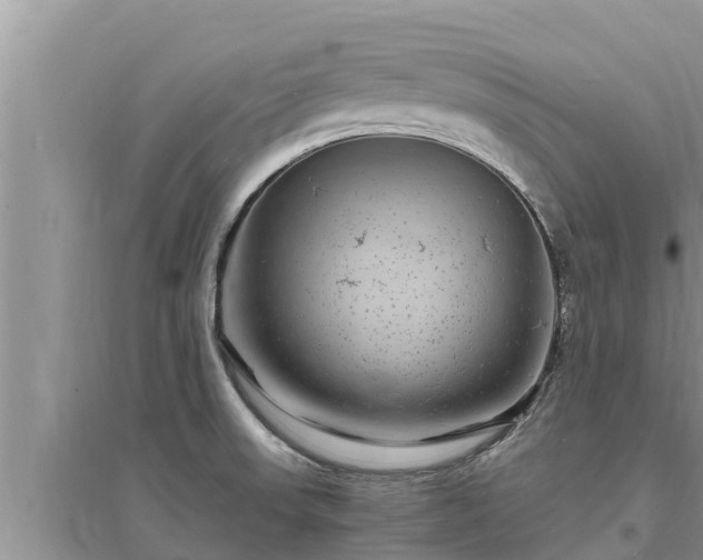 X0000095541523200712211336