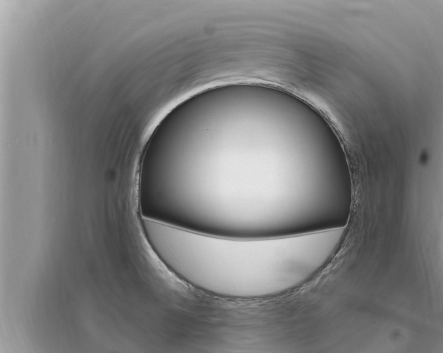 X0000095541524200712211336