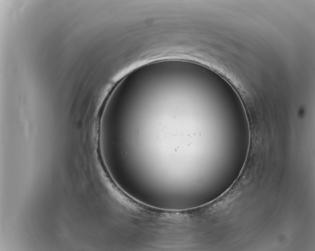 X0000095541526200712211336