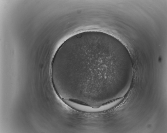 X0000095541527200712211336