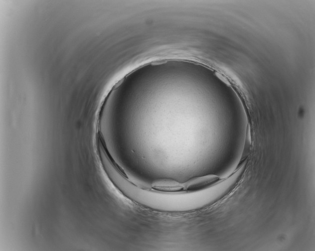 X0000095541528200712211336