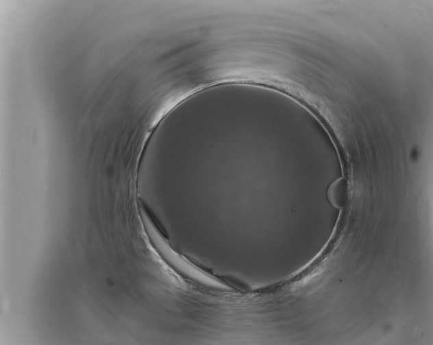 X0000095541529200712211336