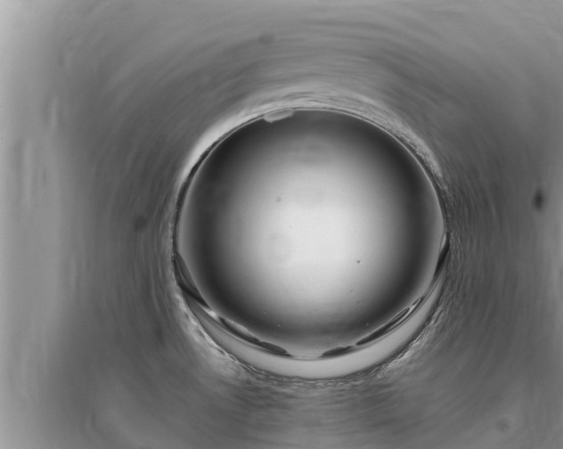 X0000095541530200712211336