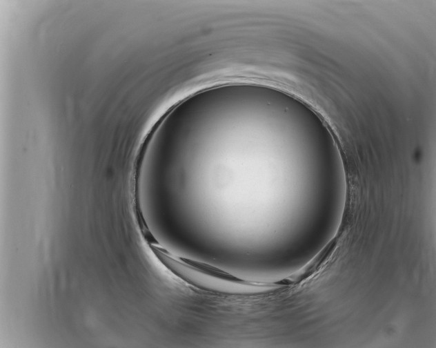 X0000095541531200712211336