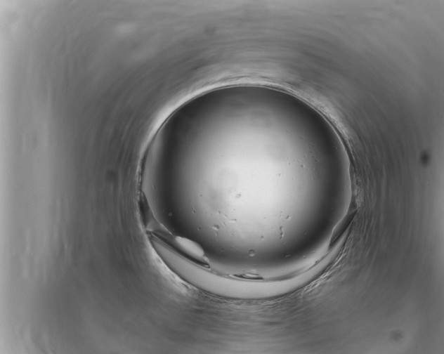 X0000095541532200712211336