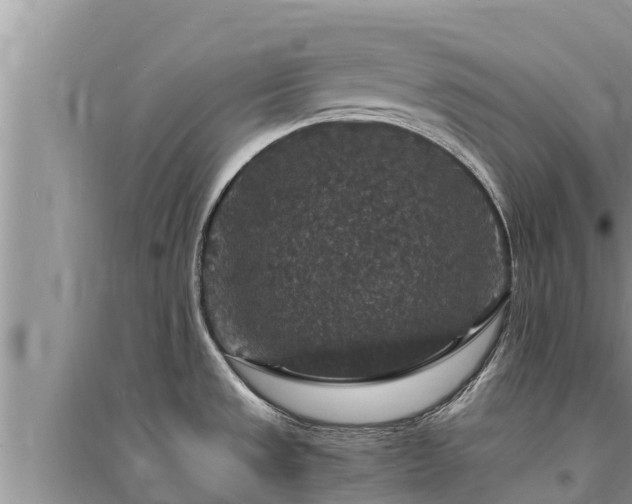 X0000095541533200712211336