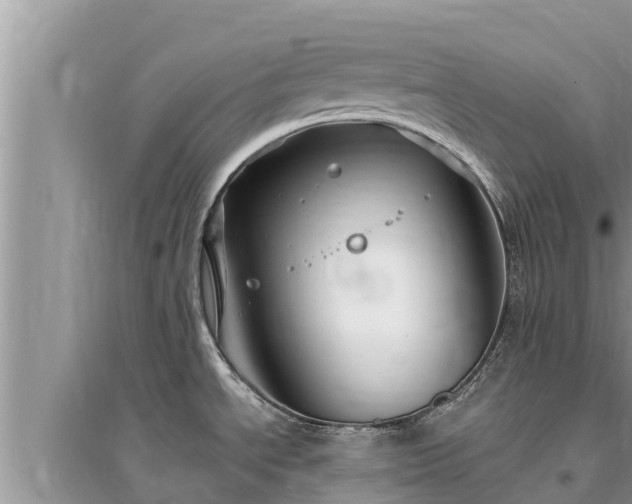 X0000095541534200712211336