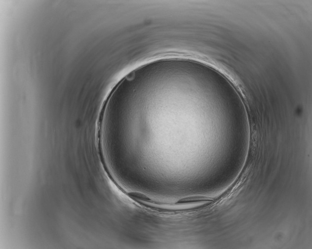 X0000095541535200712211336