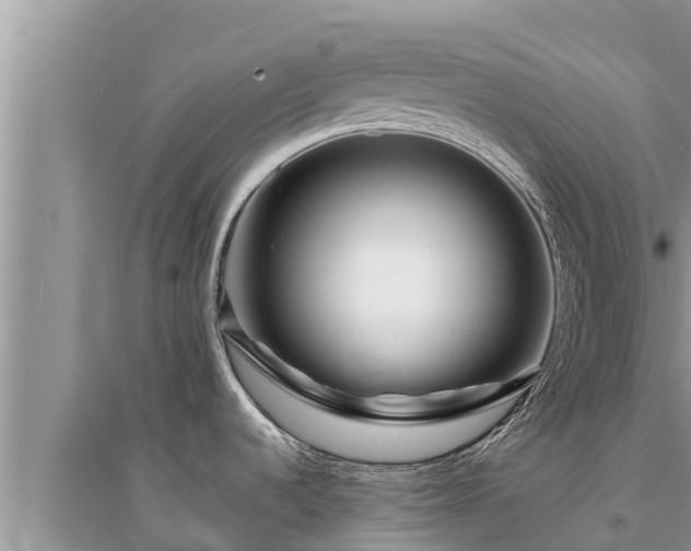 X0000095541536200712211336