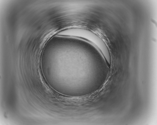 X0000095540001200712281554