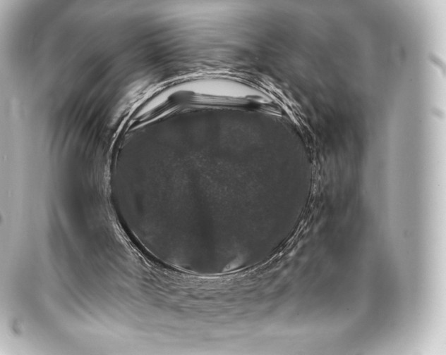 X0000095540002200712281554