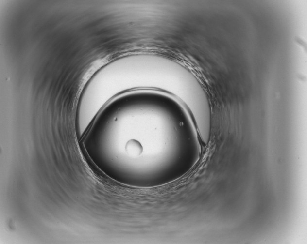 X0000095540003200712281554