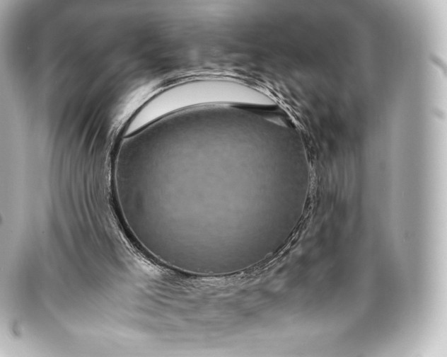 X0000095540005200712281554