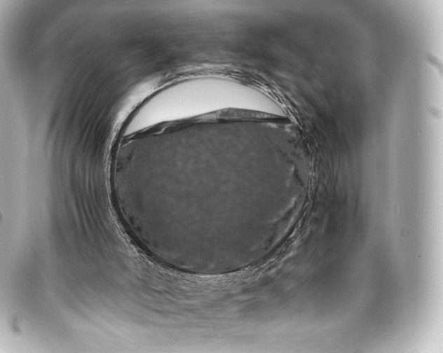 X0000095540006200712281554