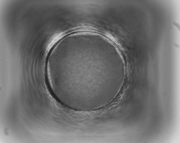 X0000095540007200712281554