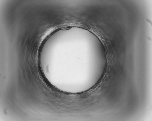 X0000095540008200712281554