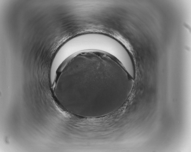 X0000095540009200712281554