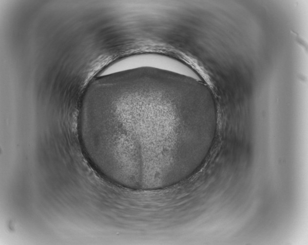 X0000095540010200712281554