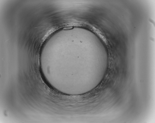 X0000095540011200712281554