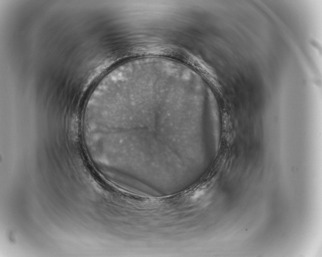 X0000095540012200712281554