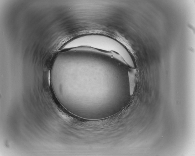 X0000095540013200712281554