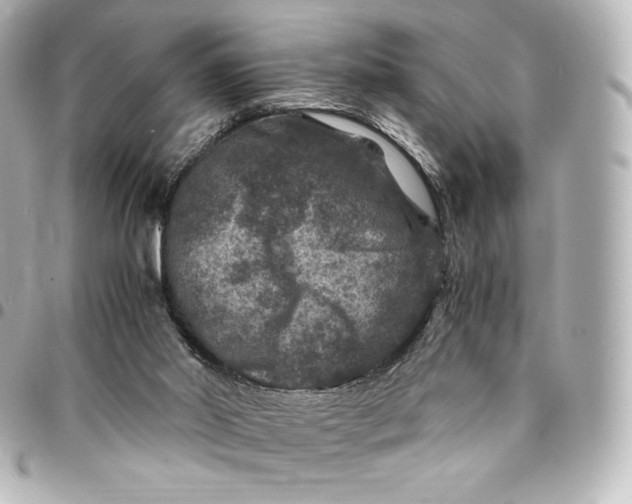 X0000095540014200712281554