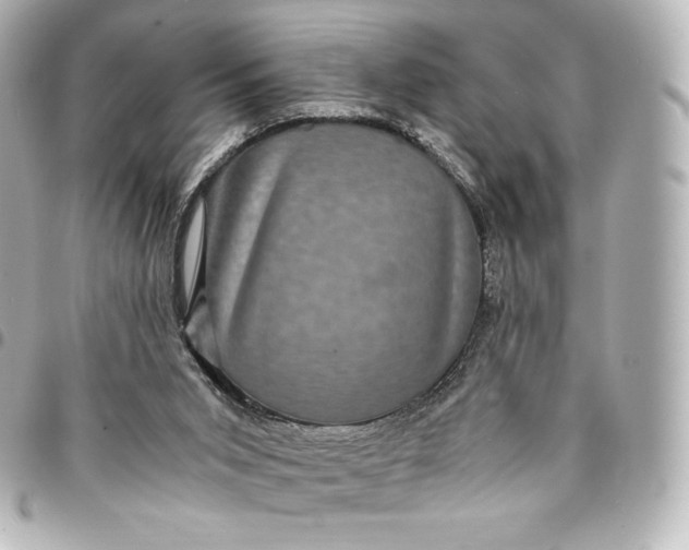 X0000095540015200712281554