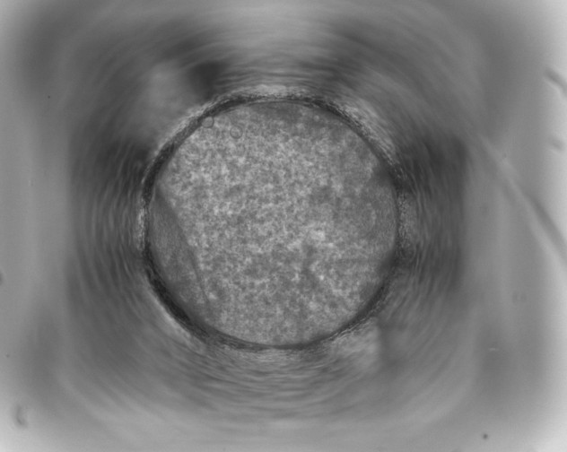 X0000095540016200712281554