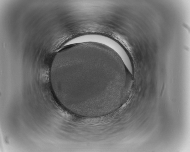 X0000095540017200712281554