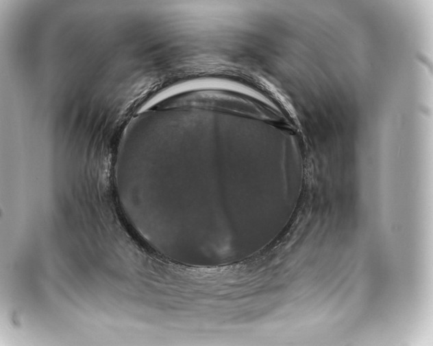 X0000095540018200712281554