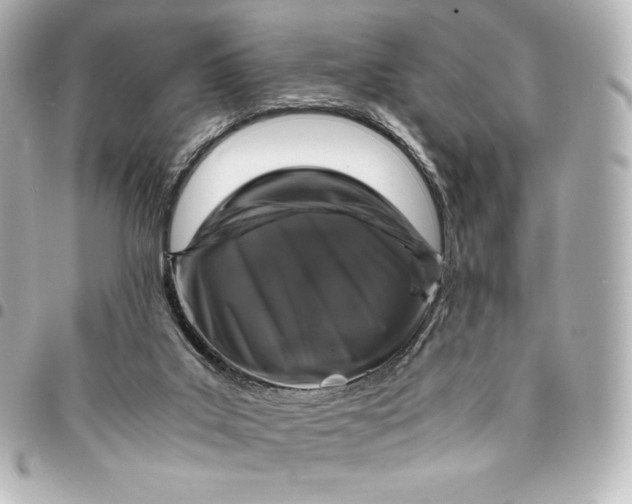 X0000095540019200712281554