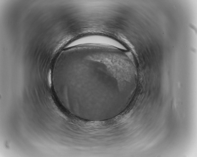 X0000095540020200712281554