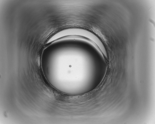 X0000095540021200712281554