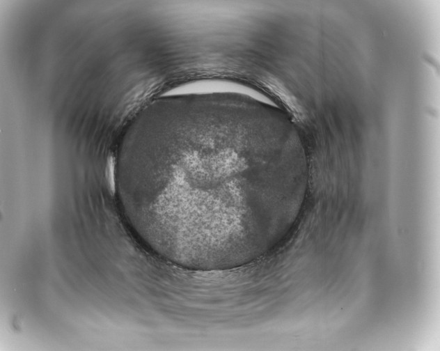 X0000095540022200712281554