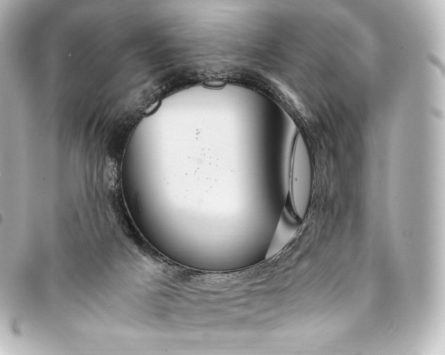 X0000095540025200712281554