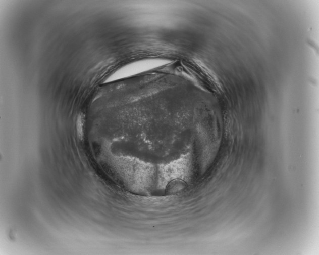 X0000095540026200712281554