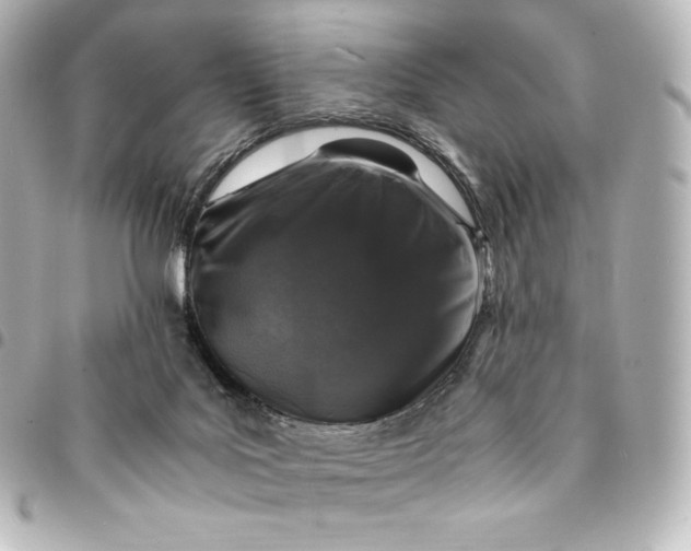 X0000095540027200712281554