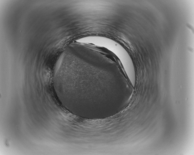 X0000095540029200712281554