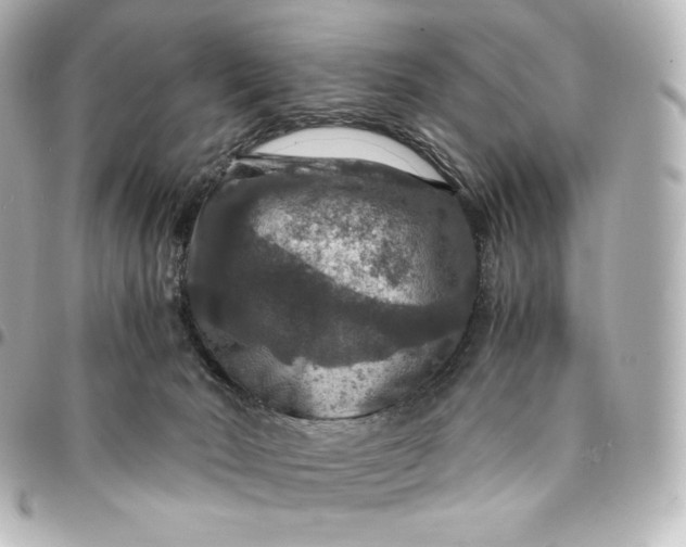 X0000095540030200712281554