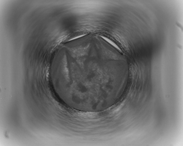 X0000095540032200712281554