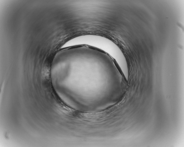 X0000095540033200712281554