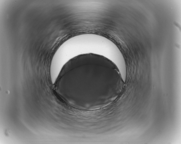 X0000095540035200712281554