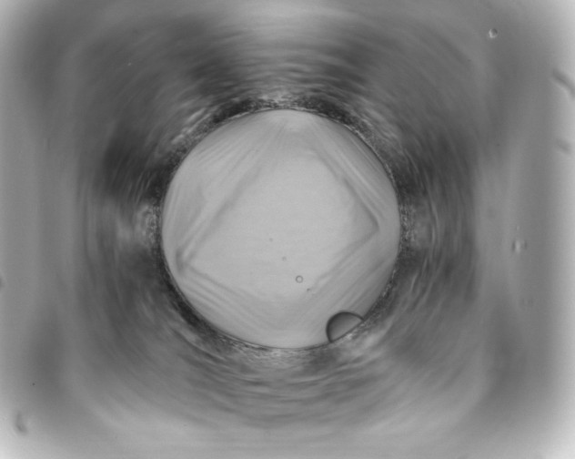 X0000095540036200712281554