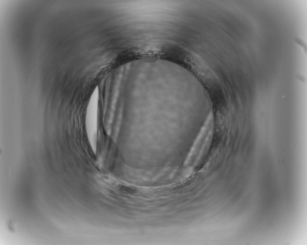 X0000095540037200712281554