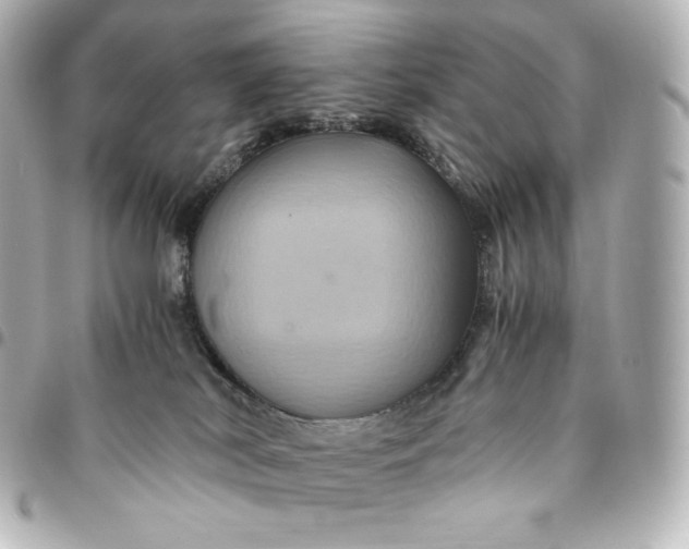 X0000095540038200712281554