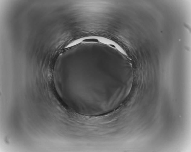 X0000095540039200712281554