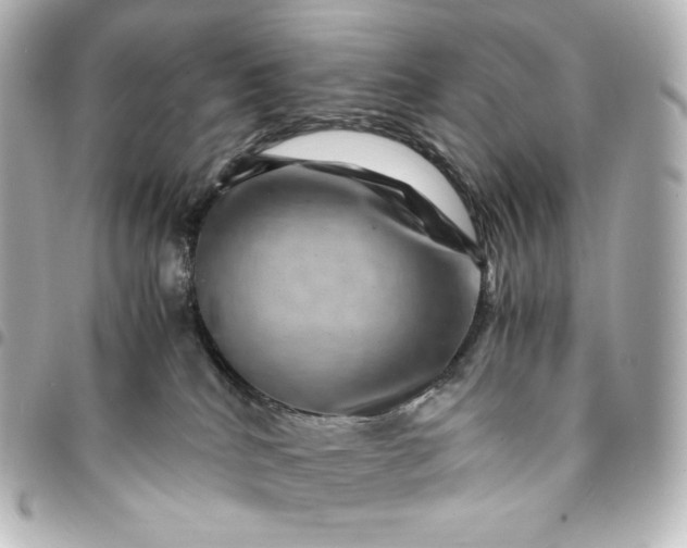 X0000095540040200712281554