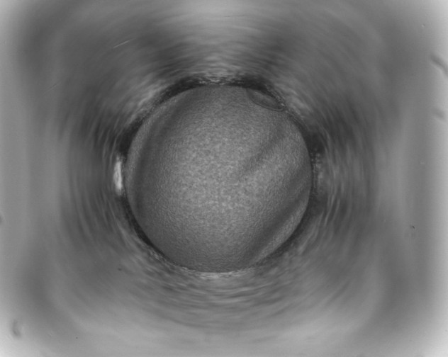 X0000095540042200712281554