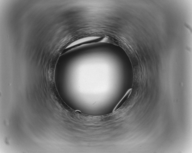 X0000095540044200712281554