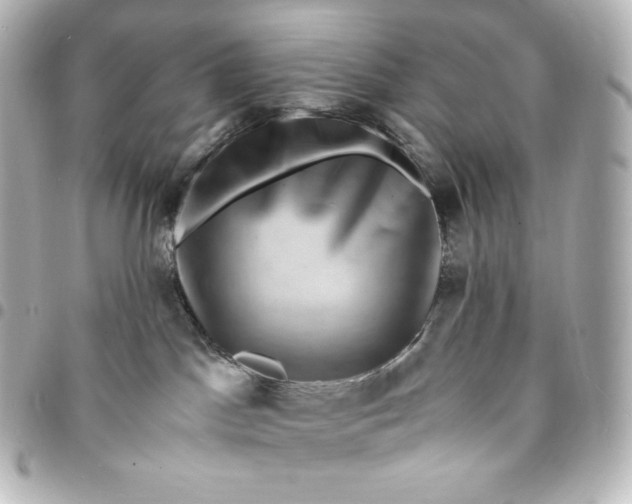 X0000095540045200712281554